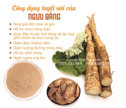 [Hết hàng] Ngưu bàng khô sấy lạnh Hữu Cơ