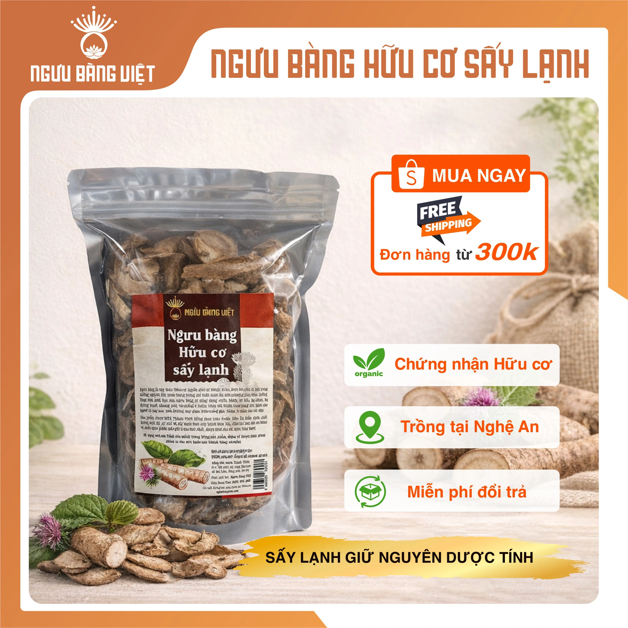 Ngưu bàng khô sấy lạnh Hữu Cơ