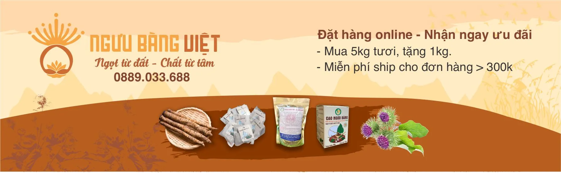 Sản phẩm Ngưu Bàng Hữu Cơ – Khô, Trà, Cao | Ngưu Bàng Việt