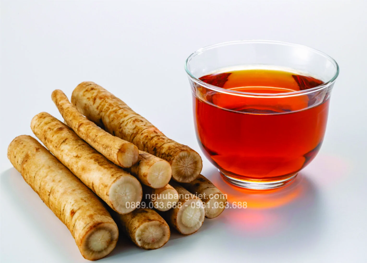 Cách ngâm rượu củ ngưu bàng đúng chuẩn — Hướng dẫn từng bước tại nhà