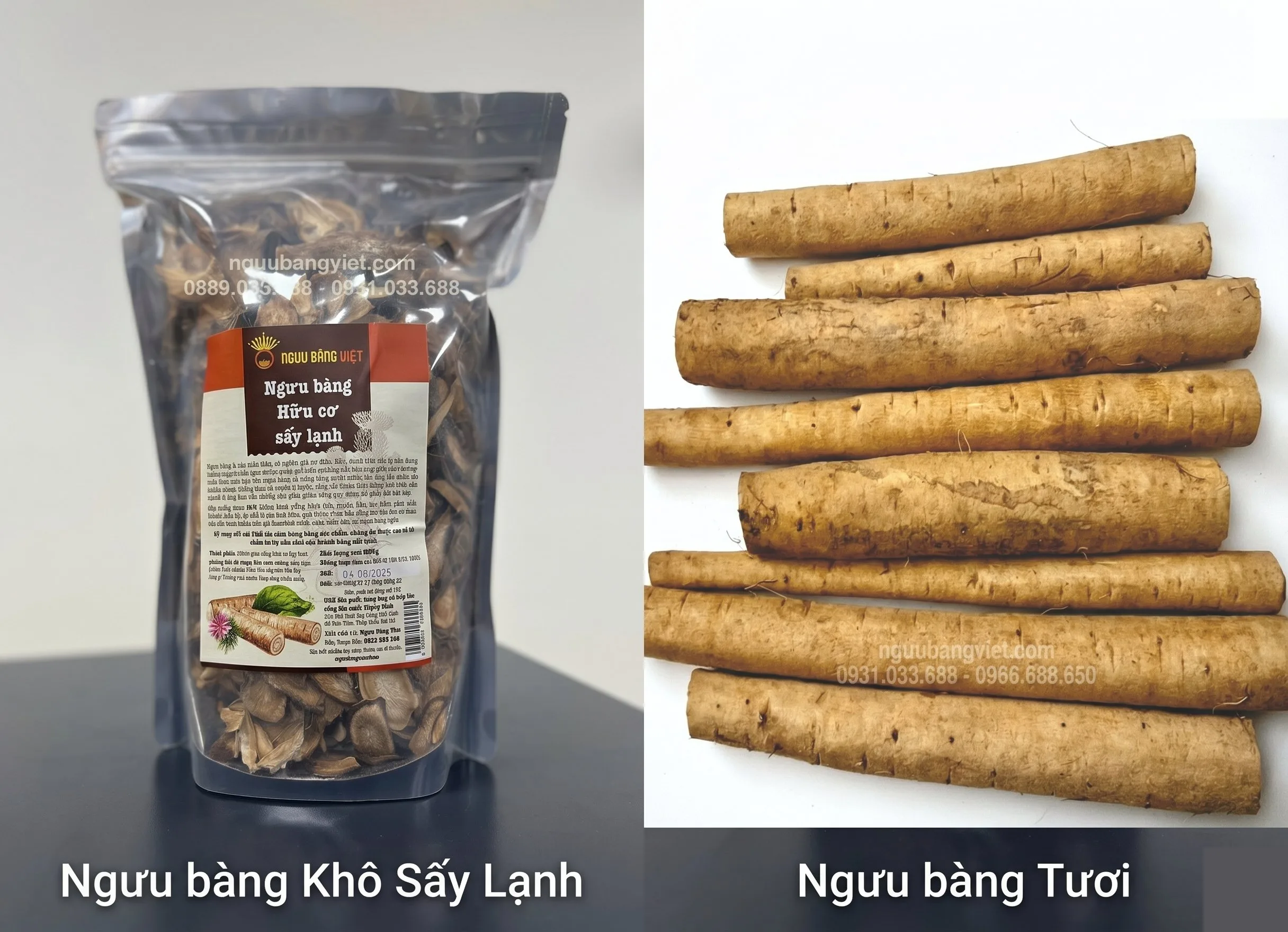 So sánh ngưu bàng tươi và ngưu bàng sấy lạnh — Loại nào tốt hơn cho sức khỏe?