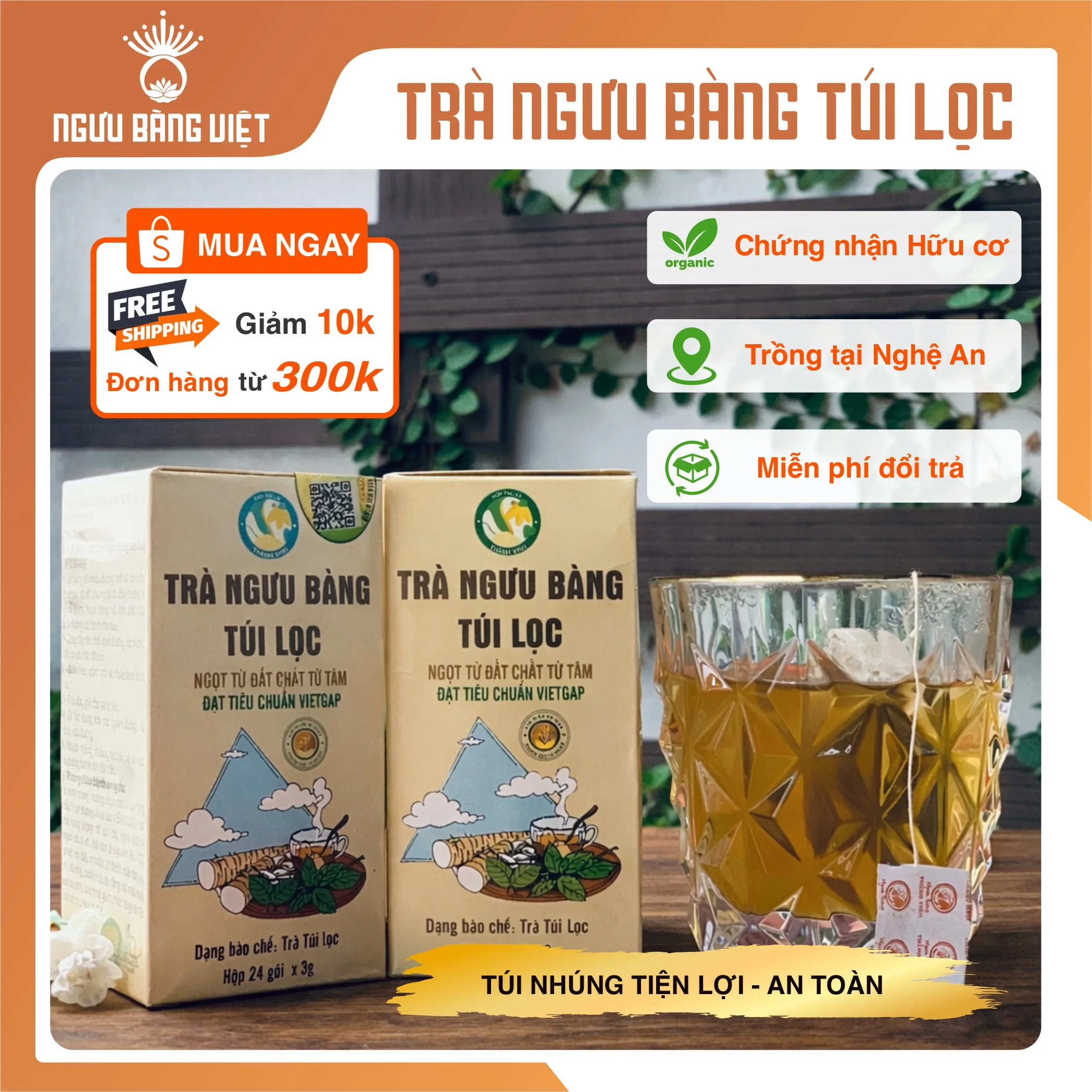 Trà ngưu bàng túi lọc