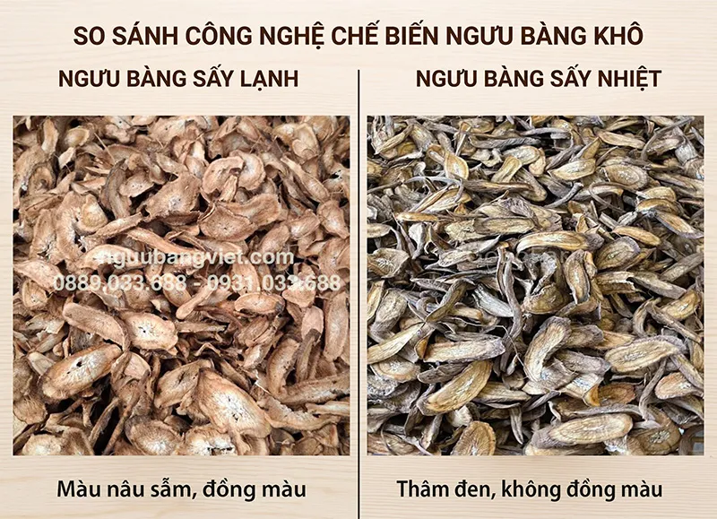Ngưu bàng sấy lạnh và sấy nhiệt khác nhau thế nào? Phân tích khoa học để chọn đúng