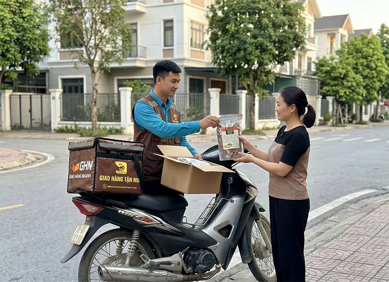 Mua Ngưu Bàng Ở Đâu Tại Nghệ An? Vùng Trồng Hữu Cơ Hưng Nguyên