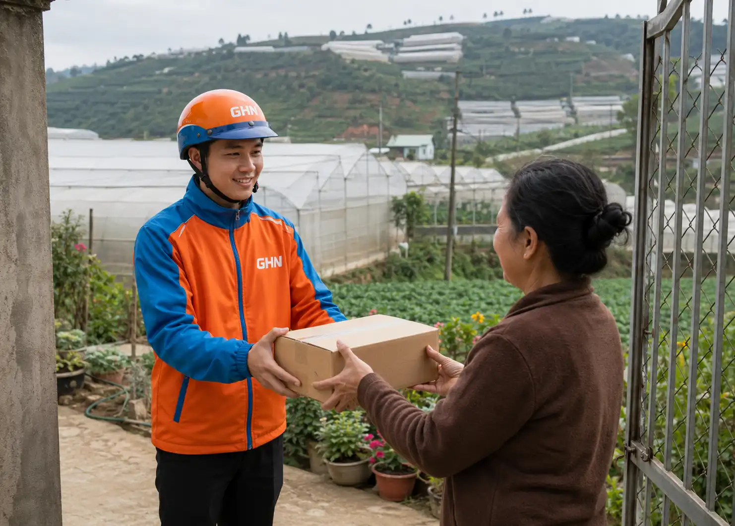 Mua Ngưu Bàng Ở Đâu Tại Lâm Đồng? Vì Sao Đà Lạt Có Thể Nhưng Chưa Trồng Quy Mô Lớn?