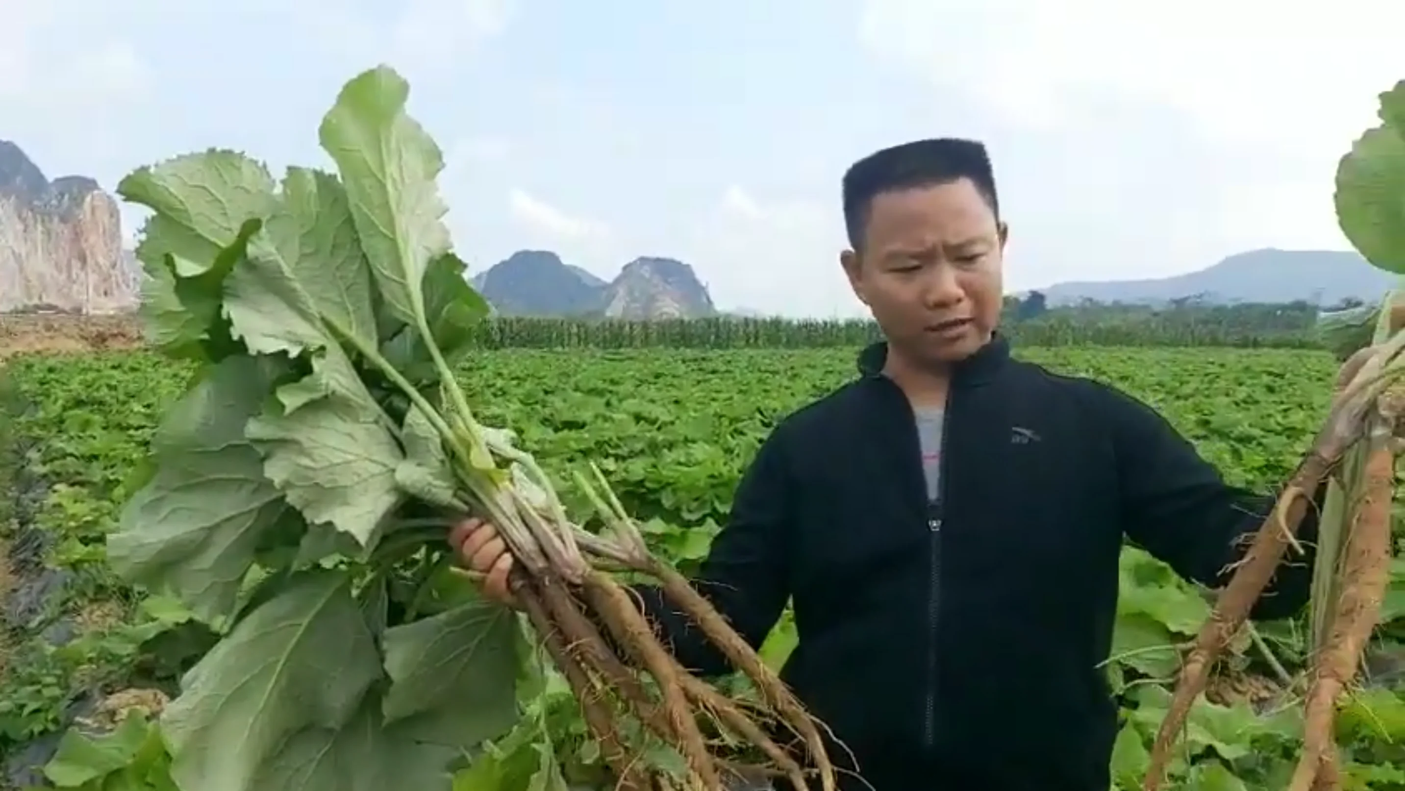 Lấy sản phẩm mẫu đi kiểm nghiệm chất lượng