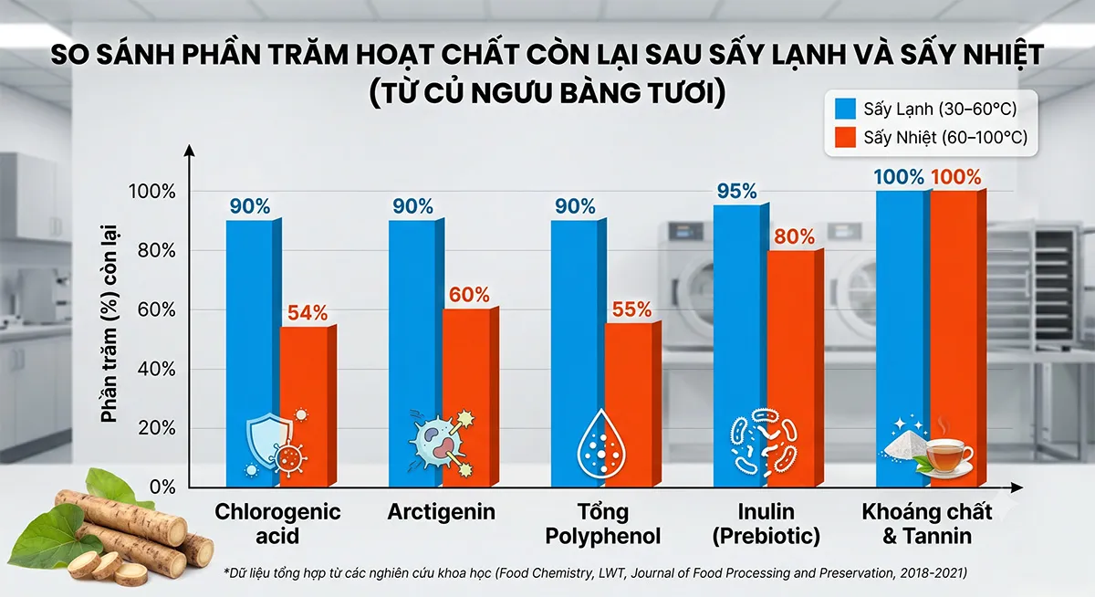 Biểu đồ so sánh phần trăm hoạt chất còn lại sau sấy lạnh và sấy nhiệt