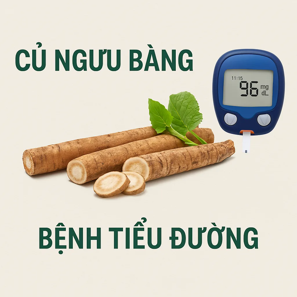 Ngưu bàng hỗ trợ kiểm soát đường huyết người tiểu đường qua inulin GI=0 và AMPK