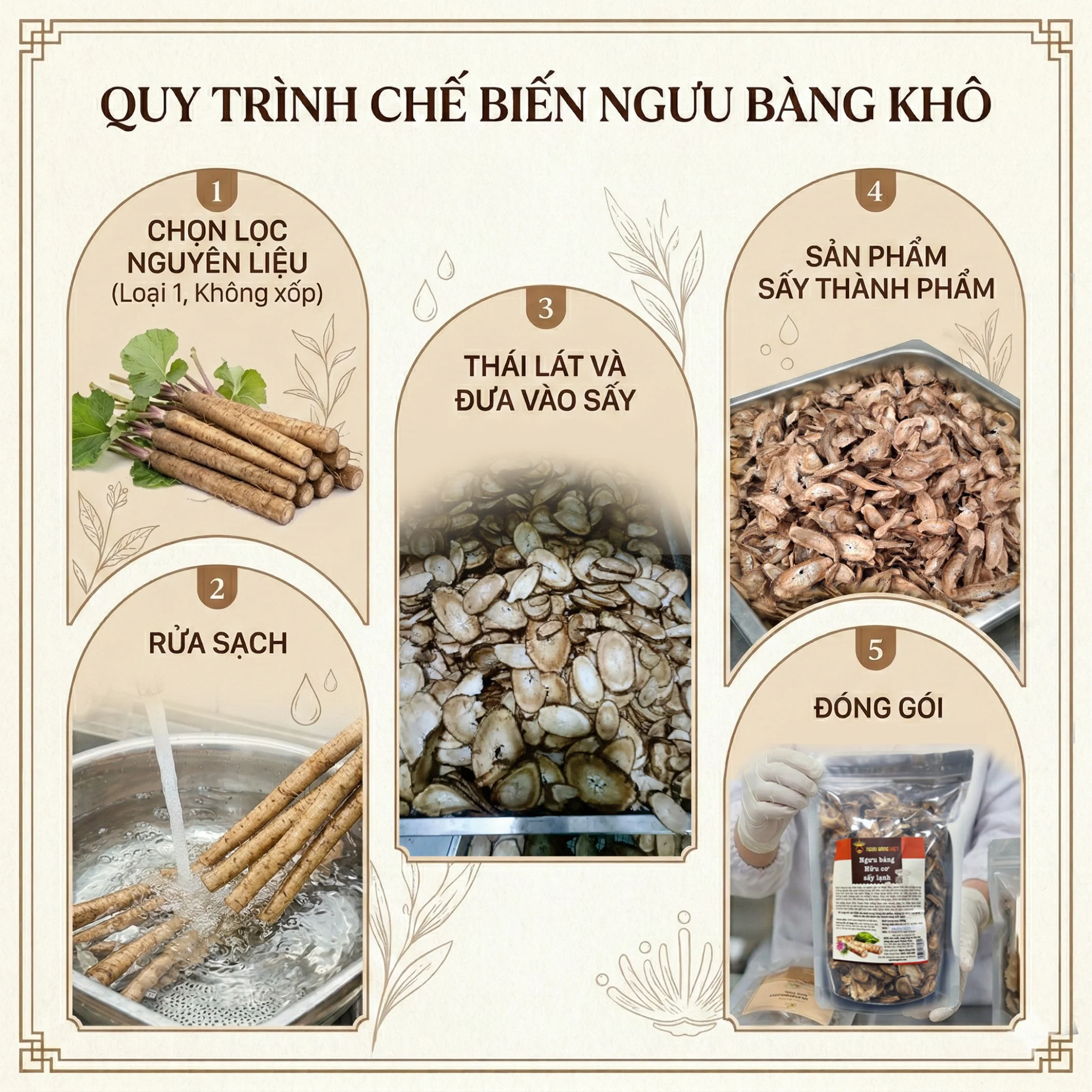 Quy trình chế biến ngưu bàng khô sấy lạnh hữu cơ HTX Thành Vinh chuẩn chất lượng