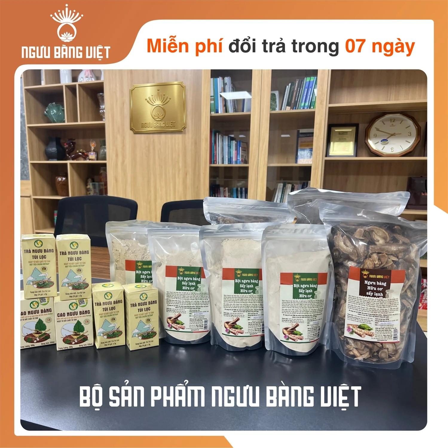 Sản phẩm ngưu bàng hữu cơ giàu inulin — uống hàng ngày tích lũy lợi ích sức khỏe