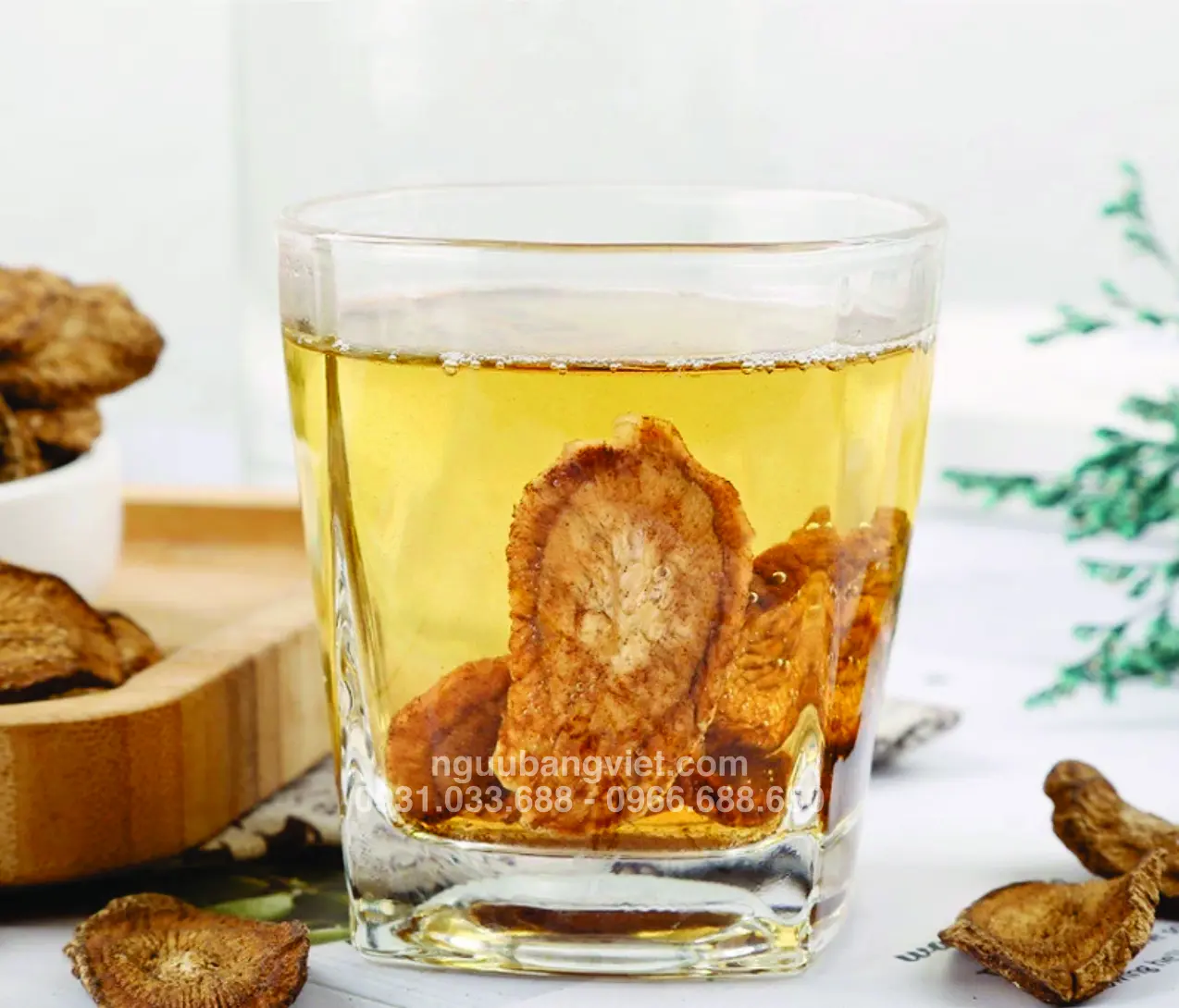 Trà từ ngưu bàng sấy lạnh — màu vàng nhạt trong suốt, bảo toàn hoạt chất tốt nhất