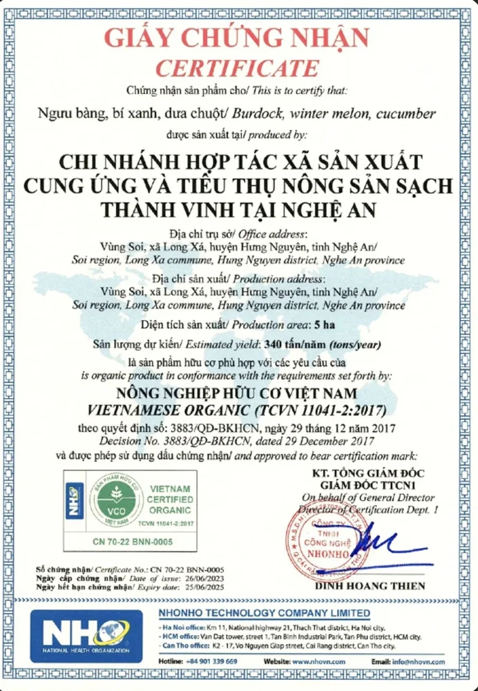 Chứng nhận hữu cơ HTX Thành Vinh đơn vị sản xuất ngưu bàng Ngưu Bàng Việt uy tín