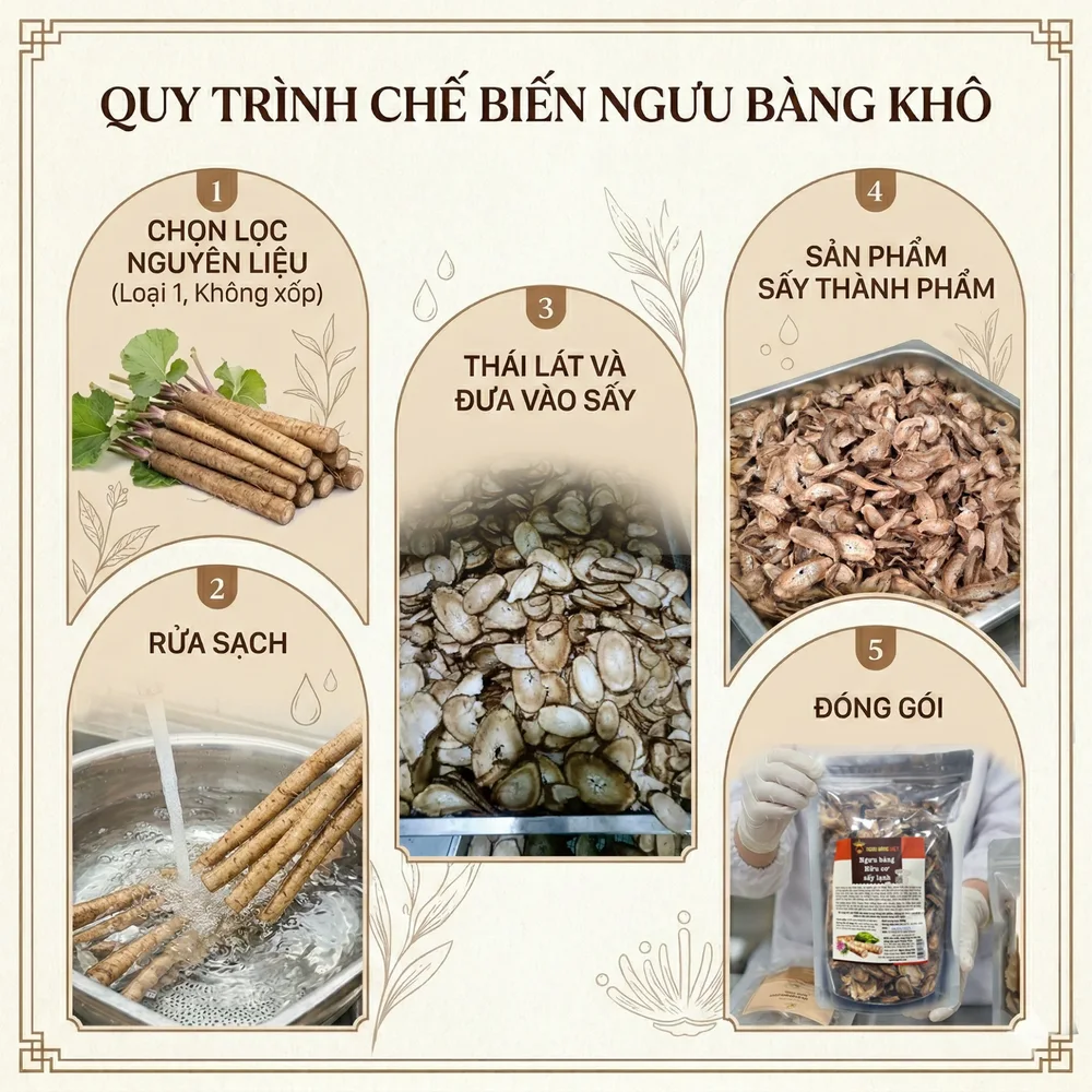 Quy trình chế biến ngưu bàng khô sấy lạnh hữu cơ Ngưu Bàng Việt