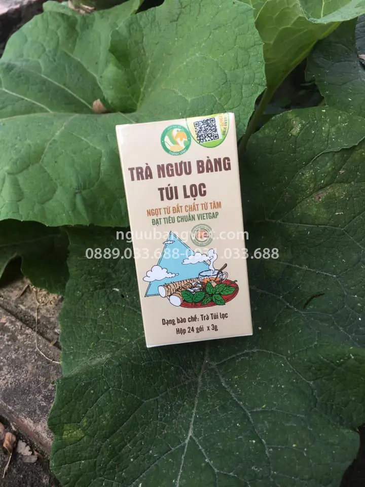 Trà túi lọc ngưu bàng hữu cơ Ngưu Bàng Việt tiện lợi uống hàng ngày